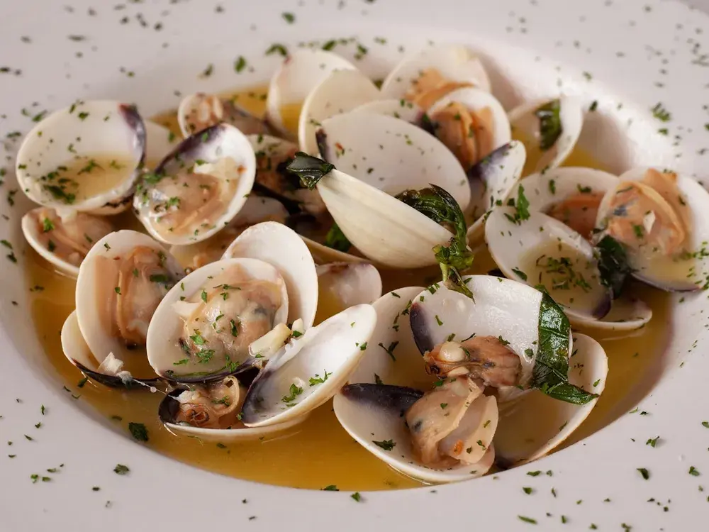 Clams Appetizers